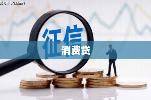 双城消费贷