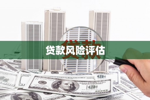 双城贷款风险评估