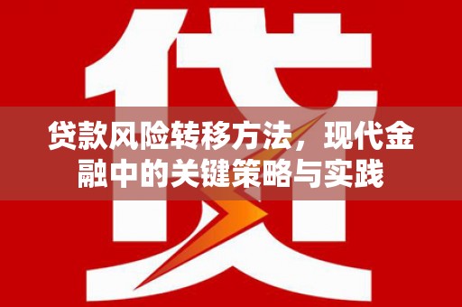 双城贷款风险转移方法，现代金融中的关键策略与实践