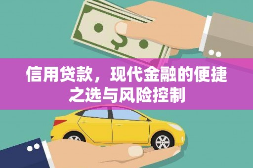 双城信用贷款，现代金融的便捷之选与风险控制