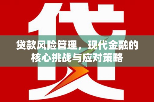 双城贷款风险管理，现代金融的核心挑战与应对策略