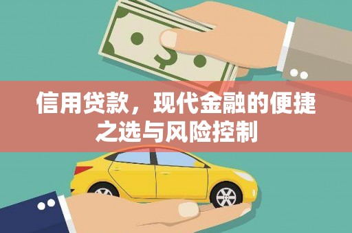 双城信用贷款，现代金融的便捷之选与风险控制