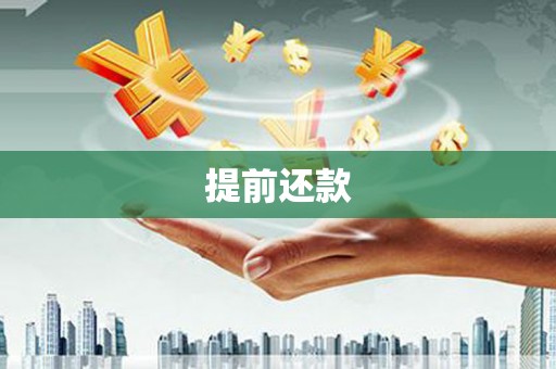 双城提前还款