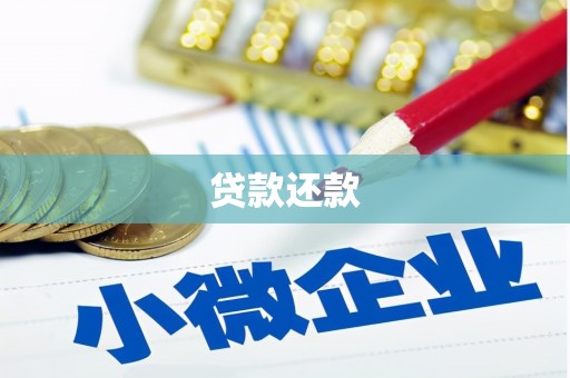 双城贷款还款