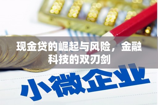 双城现金贷的崛起与风险，金融科技的双刃剑