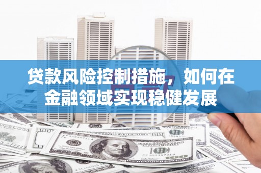 双城贷款风险控制措施，如何在金融领域实现稳健发展