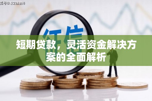 双城短期贷款，灵活资金解决方案的全面解析