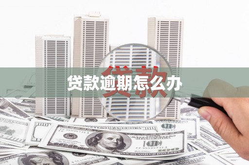 双城贷款逾期怎么办