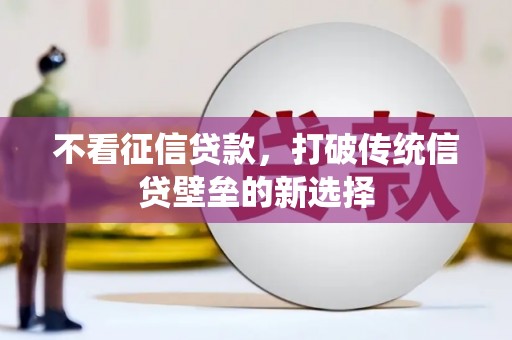 双城不看征信贷款，打破传统信贷壁垒的新选择