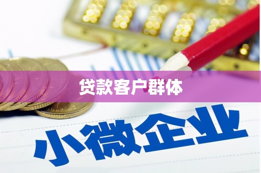 双城贷款客户群体