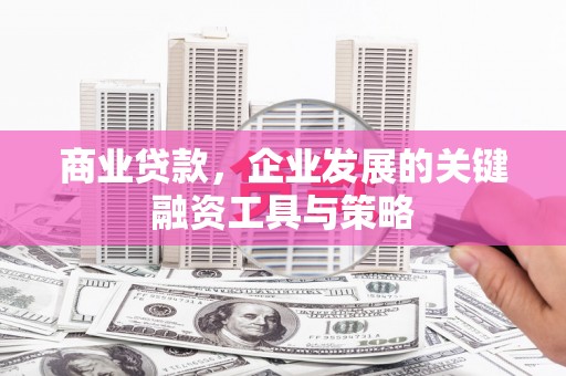 双城商业贷款，企业发展的关键融资工具与策略