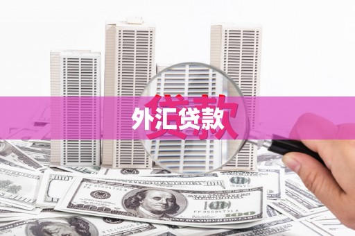 双城外汇贷款