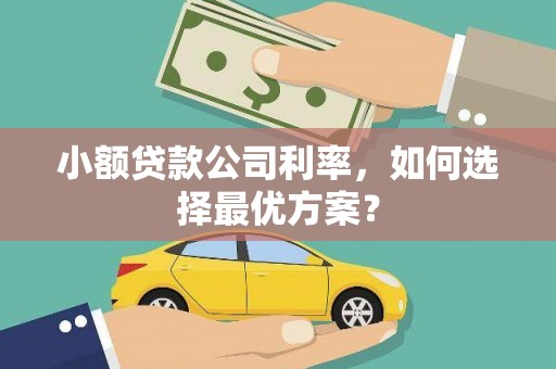 双城小额贷款公司利率，如何选择最优方案？