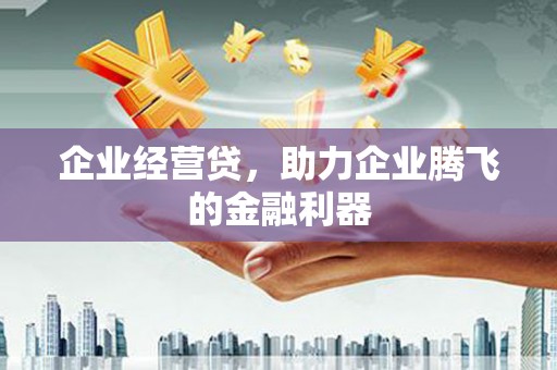 双城企业经营贷，助力企业腾飞的金融利器