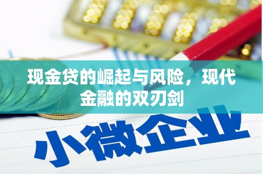 双城现金贷的崛起与风险，现代金融的双刃剑