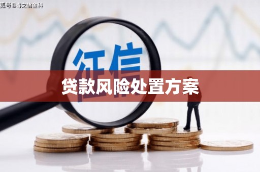 双城贷款风险处置方案