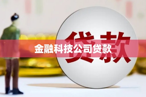 双城金融科技公司贷款
