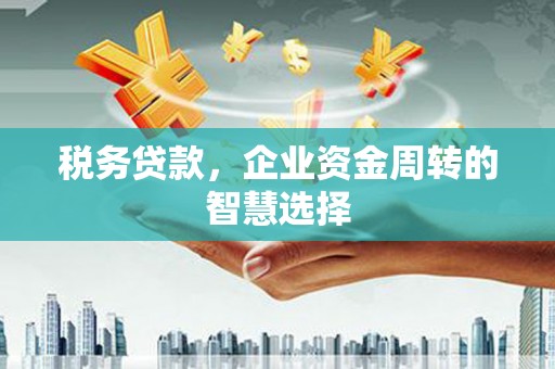 双城税务贷款，企业资金周转的智慧选择