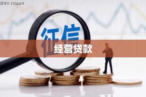 双城经营贷款