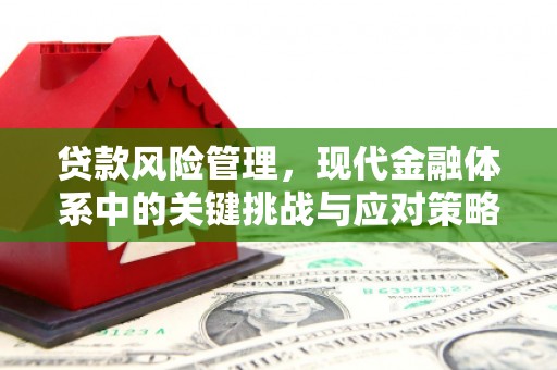 双城贷款风险管理，现代金融体系中的关键挑战与应对策略
