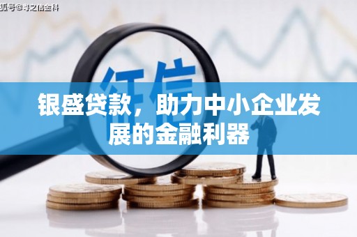 双城银盛贷款，助力中小企业发展的金融利器