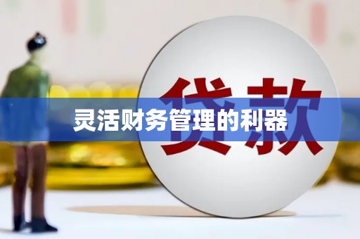 双城灵活财务管理的利器