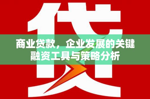 双城商业贷款，企业发展的关键融资工具与策略分析