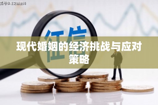 双城现代婚姻的经济挑战与应对策略