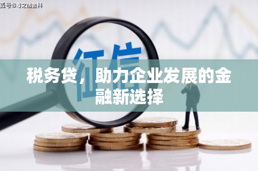 双城税务贷，助力企业发展的金融新选择