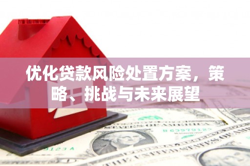 双城优化贷款风险处置方案，策略、挑战与未来展望