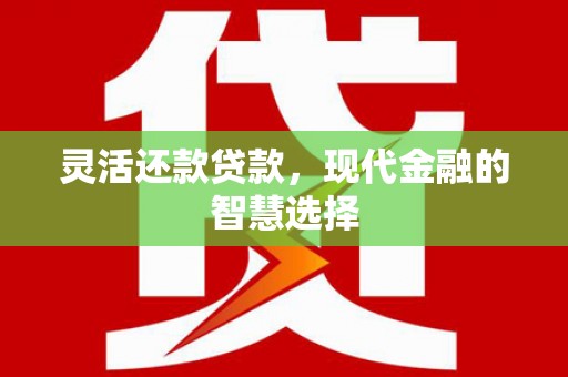 双城灵活还款贷款，现代金融的智慧选择