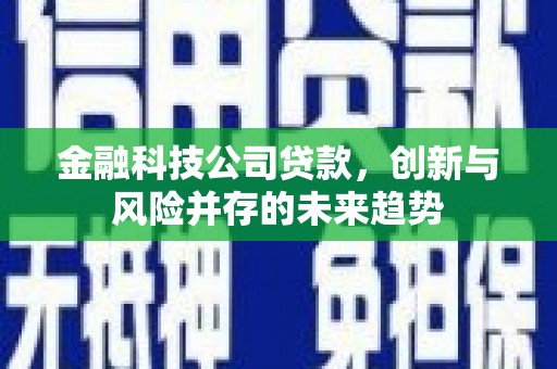 双城金融科技公司贷款，创新与风险并存的未来趋势