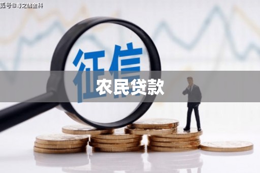 双城农民贷款