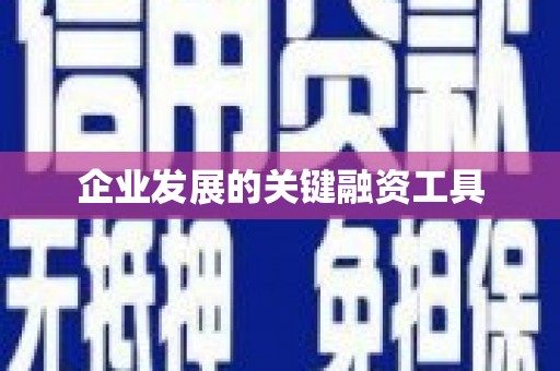 双城企业发展的关键融资工具