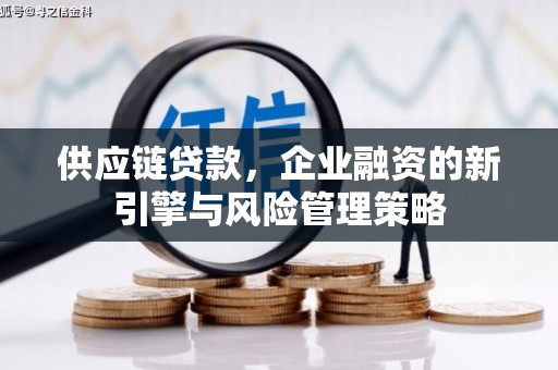 双城供应链贷款，企业融资的新引擎与风险管理策略
