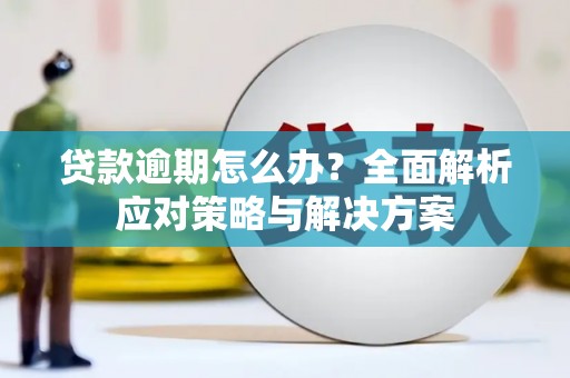 双城贷款逾期怎么办？全面解析应对策略与解决方案