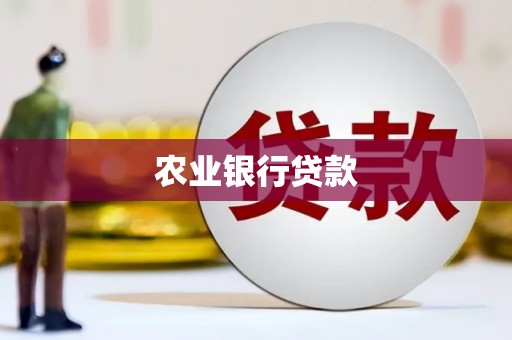 双城农业银行贷款