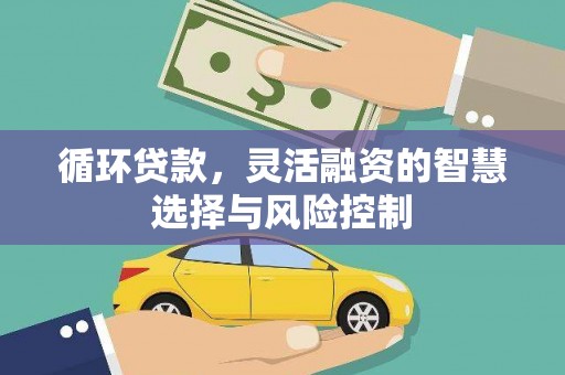 双城循环贷款，灵活融资的智慧选择与风险控制
