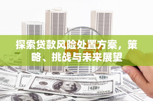 双城探索贷款风险处置方案，策略、挑战与未来展望