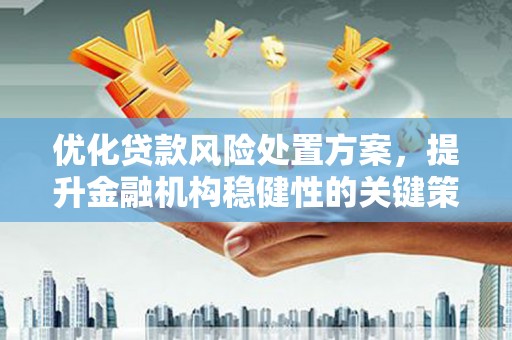 双城优化贷款风险处置方案，提升金融机构稳健性的关键策略