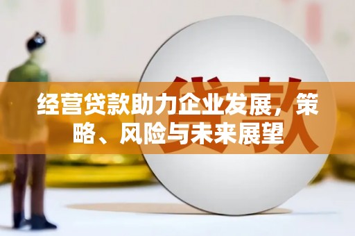 双城经营贷款助力企业发展，策略、风险与未来展望