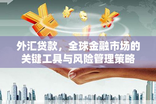 双城外汇贷款，全球金融市场的关键工具与风险管理策略