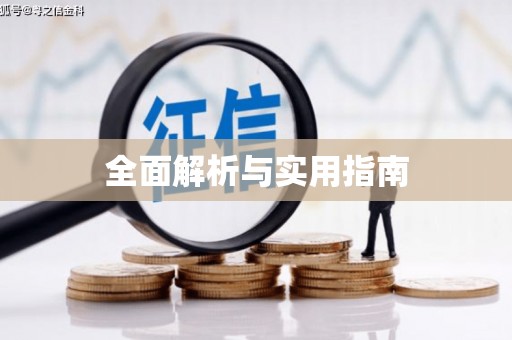 双城全面解析与实用指南
