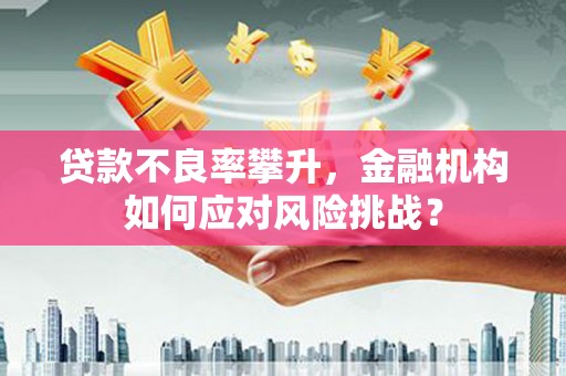 双城贷款不良率攀升，金融机构如何应对风险挑战？