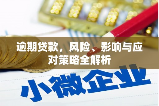 双城逾期贷款，风险、影响与应对策略全解析