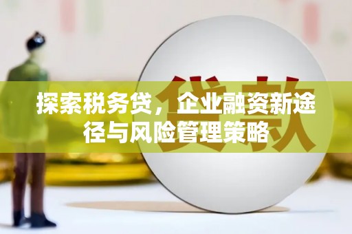 双城探索税务贷，企业融资新途径与风险管理策略