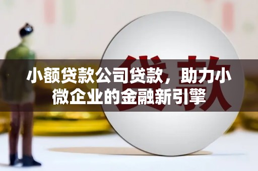 双城小额贷款公司贷款，助力小微企业的金融新引擎