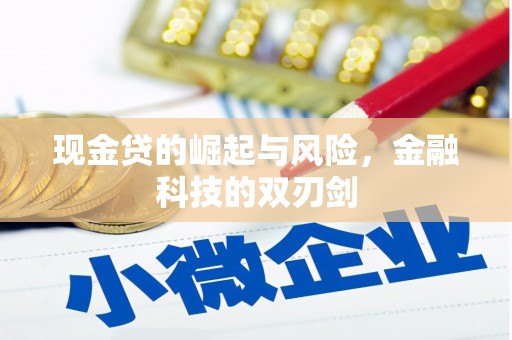 双城现金贷的崛起与风险，金融科技的双刃剑