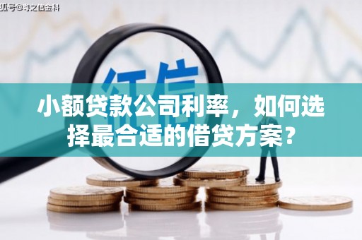 双城小额贷款公司利率，如何选择最合适的借贷方案？