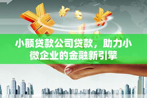 双城小额贷款公司贷款，助力小微企业的金融新引擎